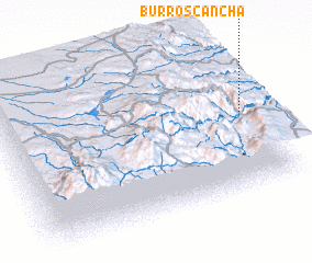 3d view of Burroscancha