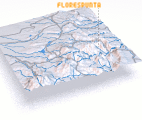 3d view of Florespunta