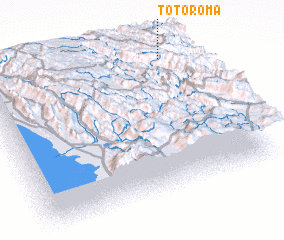 3d view of Totoroma