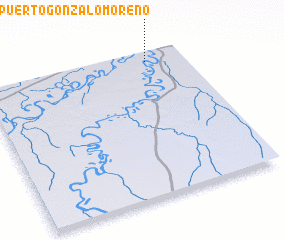 3d view of Puerto Gonzalo Moreno