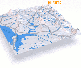 3d view of Pusuta