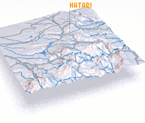 3d view of Hatari