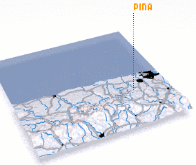 3d view of Pina