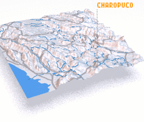 3d view of Charopuco