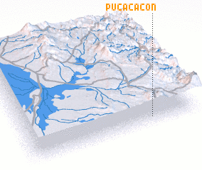 3d view of Pucacacón