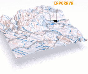 3d view of Caporaya