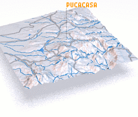 3d view of Pucacasa