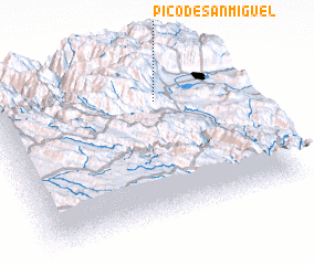 3d view of Pico de San Miguel