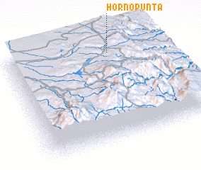 3d view of Hornopunta