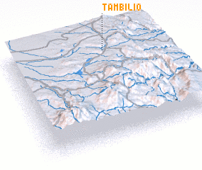 3d view of Tambilio