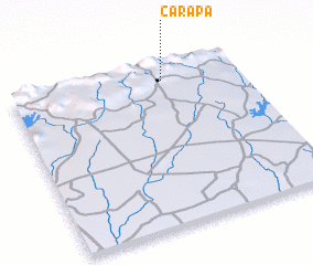 3d view of Carapa
