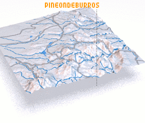 3d view of Pineon de Burros