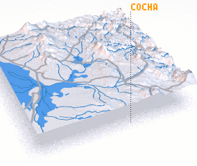 3d view of Cocha