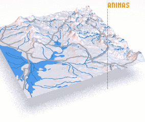 3d view of Animas