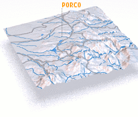 3d view of Porco