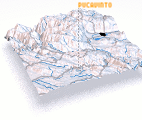 3d view of Pucavinto