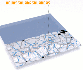 3d view of Aguas Saladas Blancas