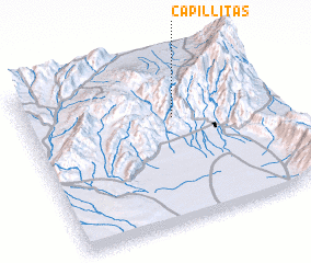 3d view of Capillitas