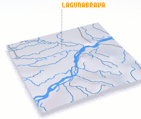 3d view of Laguna Brava