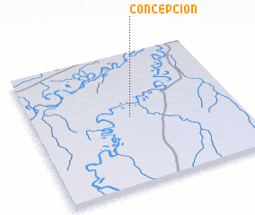 3d view of Concepción