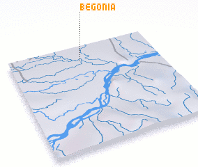 3d view of Begonia