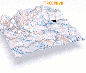 3d view of Tacopaya