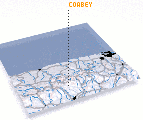 3d view of Coabey