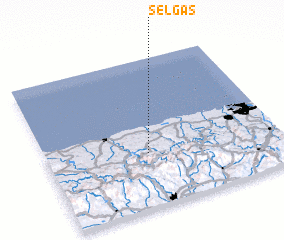 3d view of Selgas