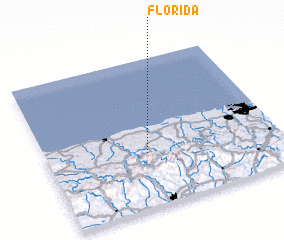 3d view of Florida