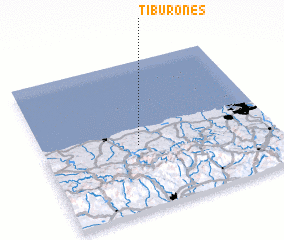 3d view of Tiburones