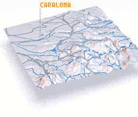 3d view of Caraloma