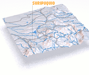 3d view of Suripuquio