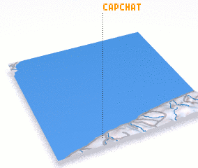 3d view of Cap-Chat