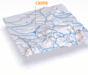 3d view of Carpa