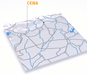 3d view of Ceiba