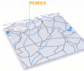 3d view of Pica Pico