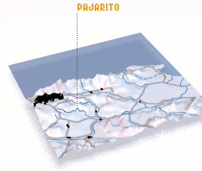 3d view of Pajarito
