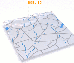 3d view of Roblito