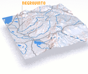 3d view of Negro Vinto