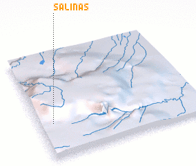 3d view of Salinas