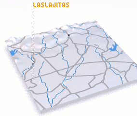 3d view of Las Lajitas