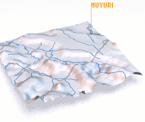 3d view of Muyuri