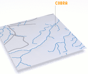 3d view of Cobra