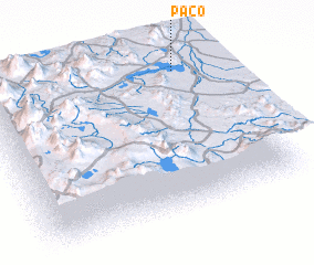 3d view of Paco