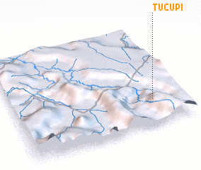 3d view of Tucupi