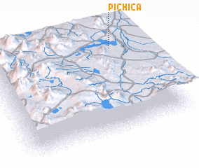 3d view of Pichica