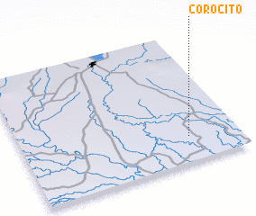 3d view of Corocito