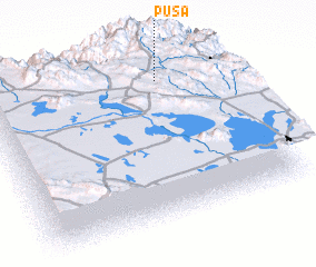 3d view of Pusa