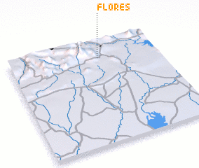 3d view of Flores