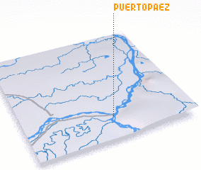 3d view of Puerto Páez